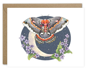 Nocturnal Moth Moon Card Pack